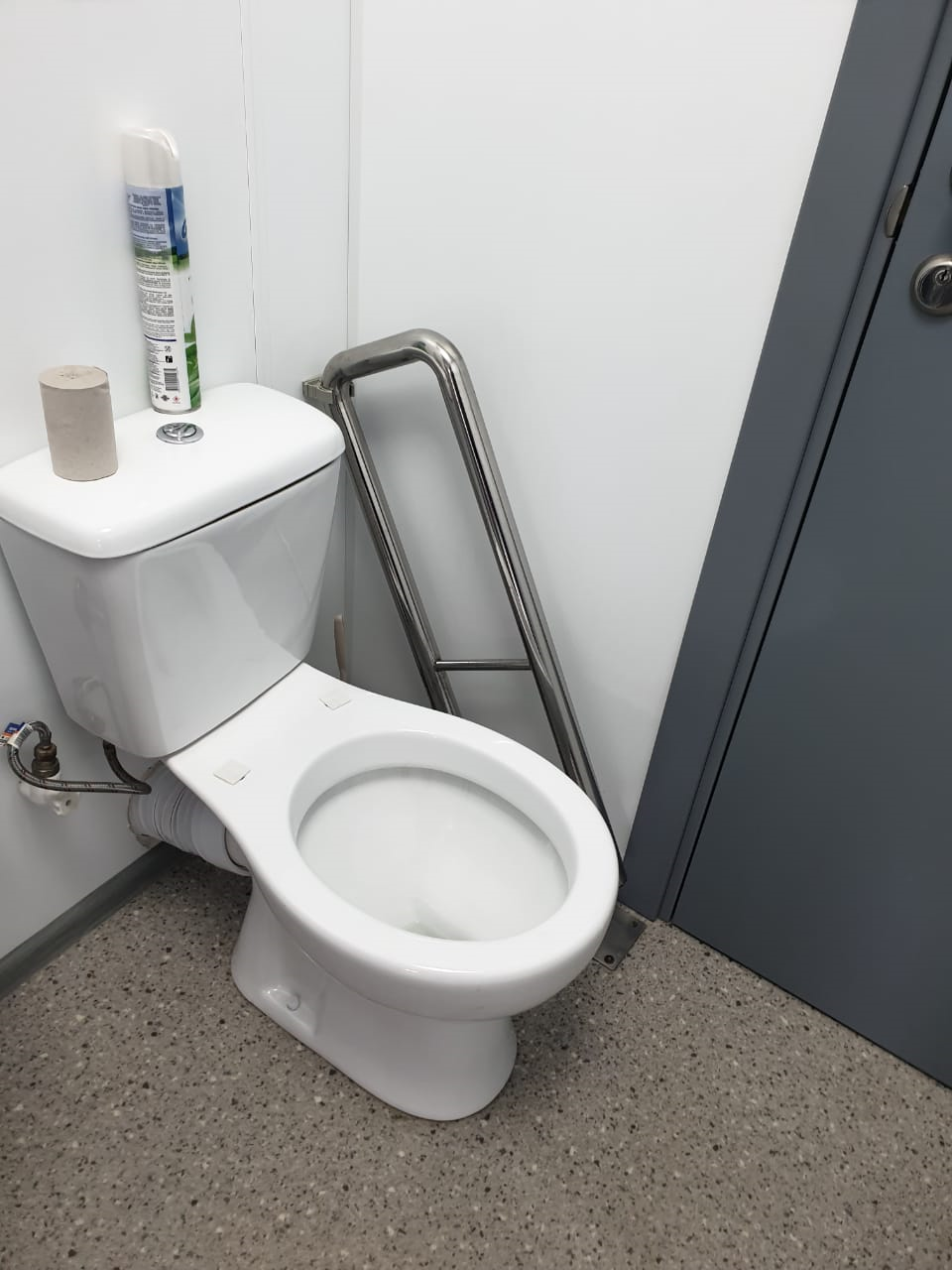 Опорные поручни в туалете Terney3